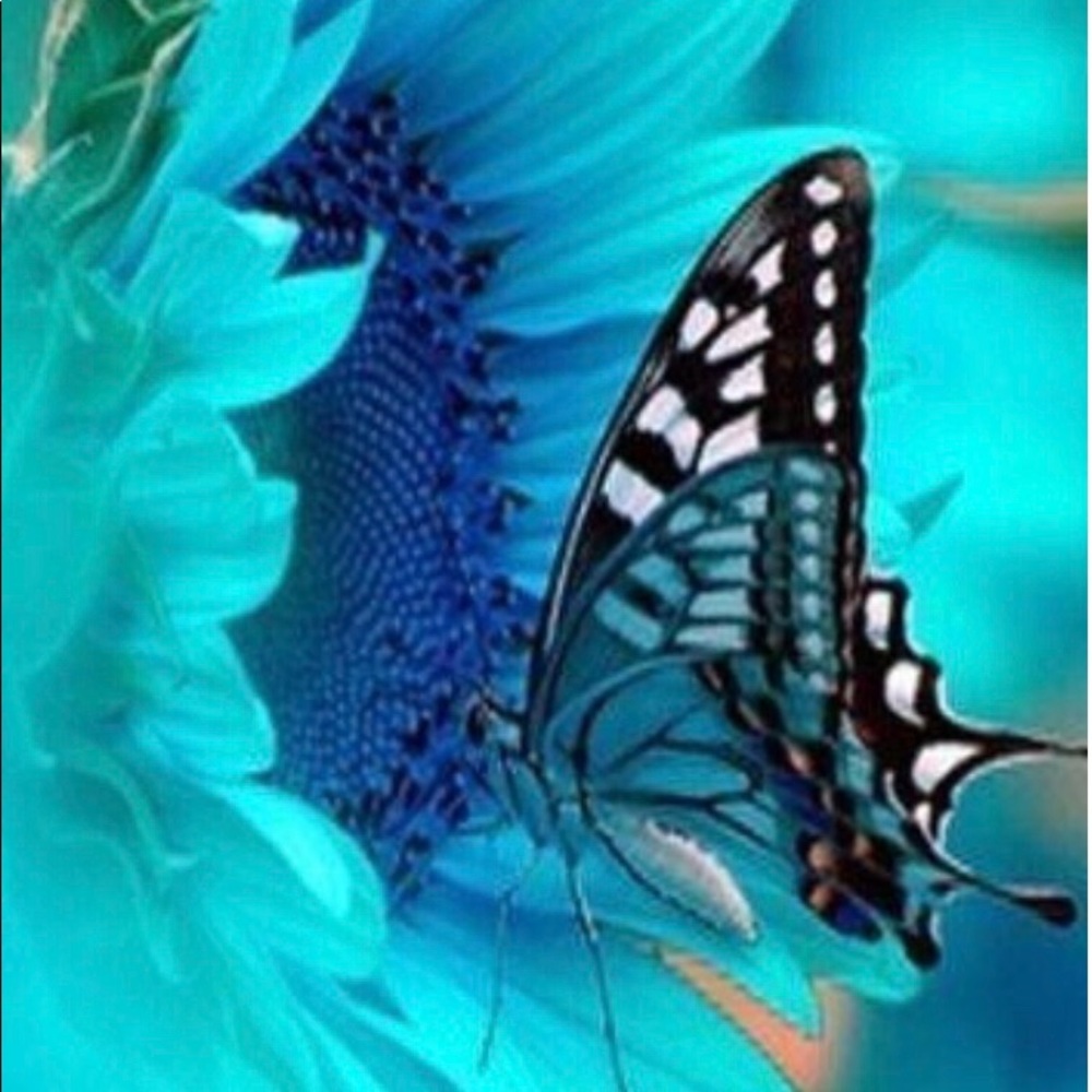 Meet your Posher, Amara